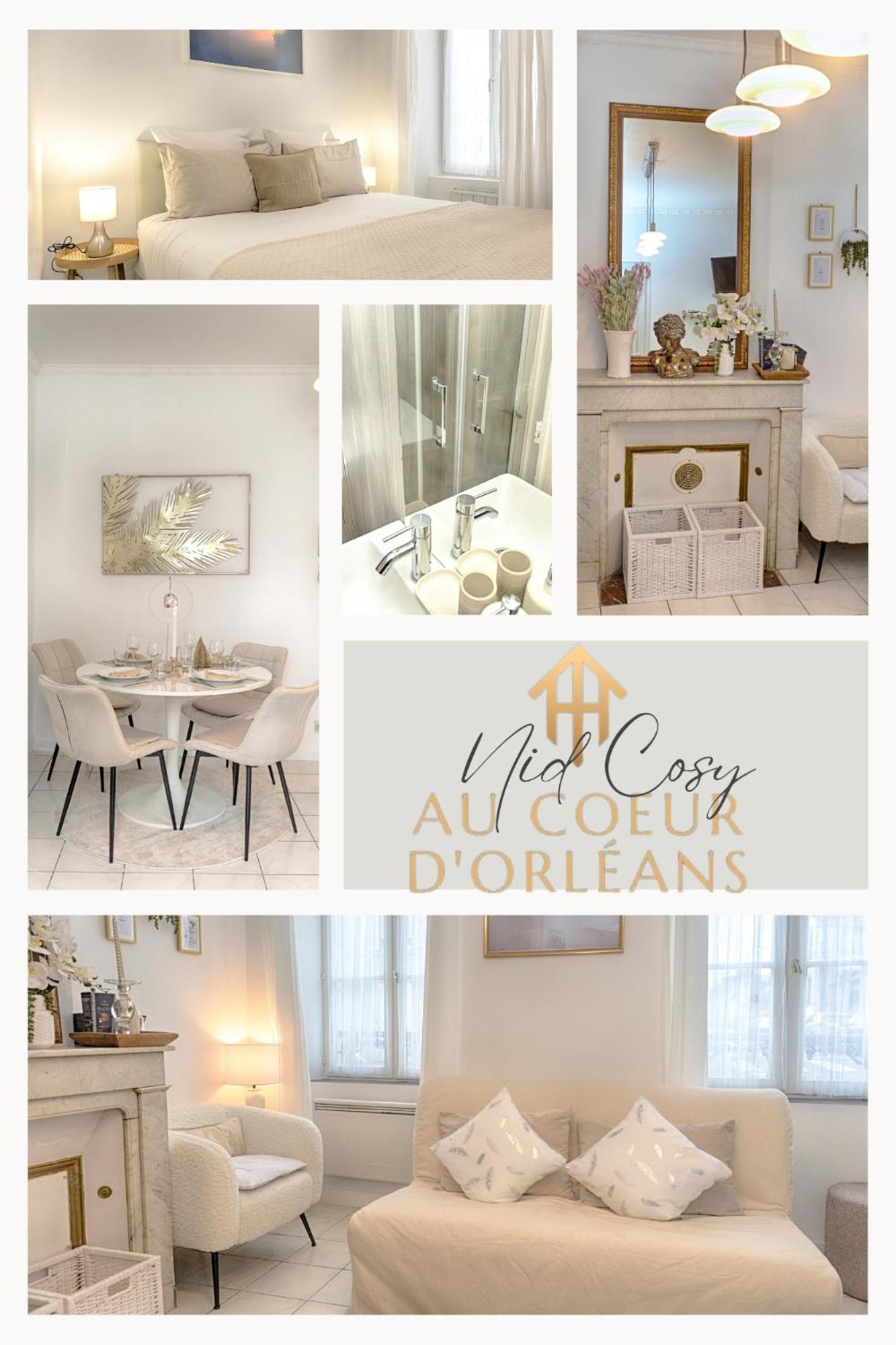 Le Nid Cosy -Au Coeur D'Orleans Leilighet Eksteriør bilde